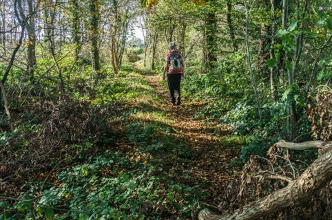 28: 141019-134516_Reutum