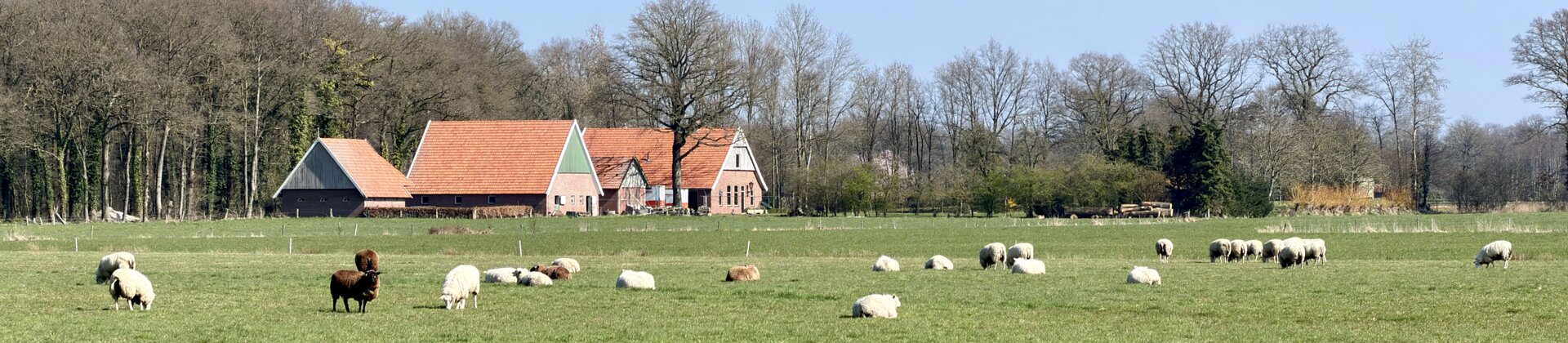 Klik om de knoppen te tonen of te verbergen