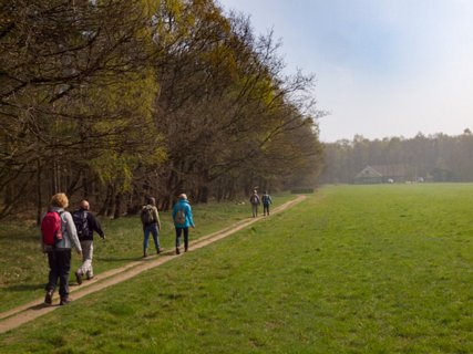 1: 160414-114154_TP3