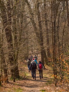 2: 160414-114936_TP3