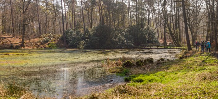 3: 160414-115719_TP3-Pano