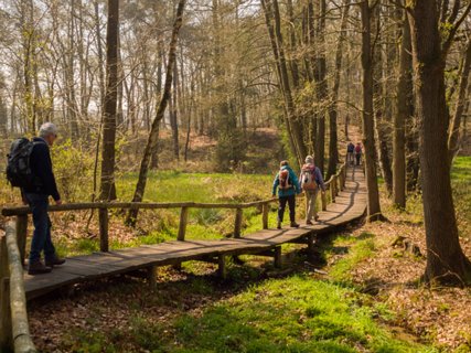 5: 160414-115919_TP3