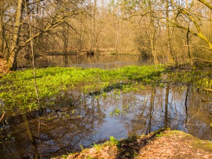 6: 160414-120629_TP3