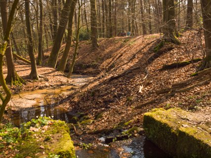 7: 160414-120708_TP3