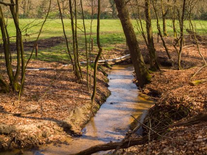 8: 160414-120754_TP3