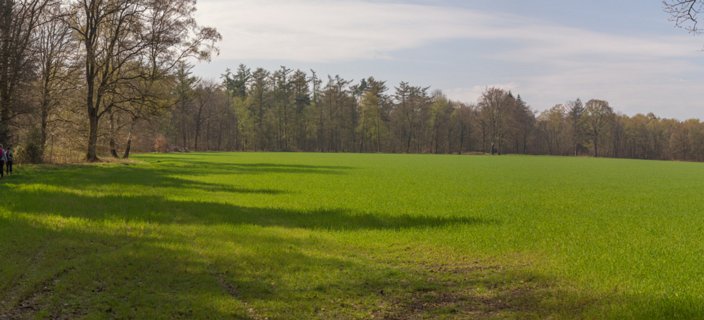 9: 160414-121739_TP3-Pano