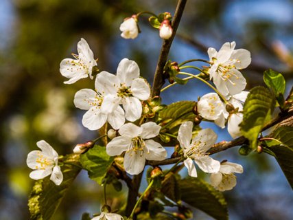 11: 160414-124221_TP3