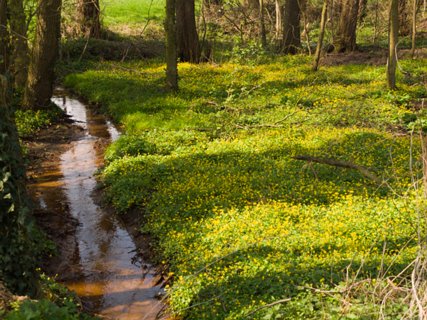 12: 160414-125823_TP3