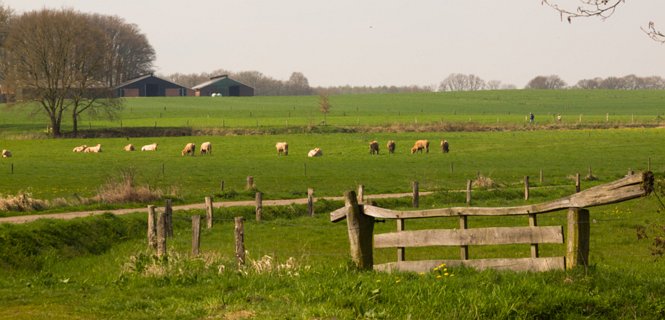 15: 160414-130417_TP3