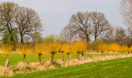 20: 160414-135125_TP3