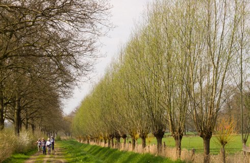 21: 160414-135131_TP3