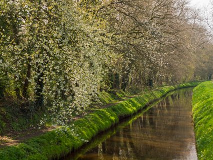 23: 160414-135940_TP3