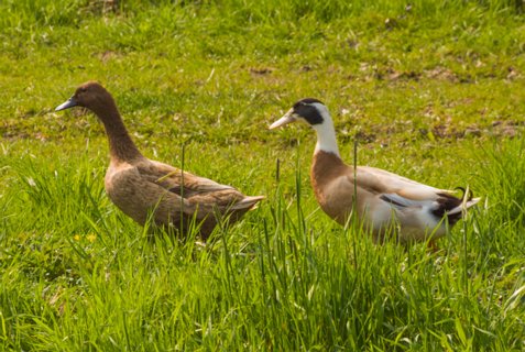 27: 160414-142228_TP3