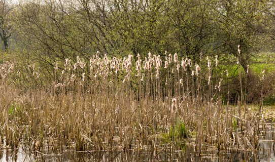 28: 160414-142908_TP3