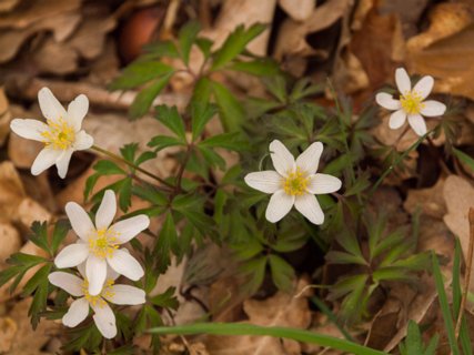 31: 160414-143930_TP3