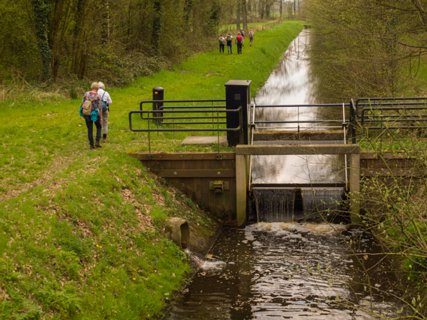 32: 160414-144658_TP3<br>Voltherbeek