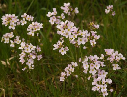 33: 160414-145030_TP3