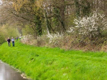 34: 160414-145544_TP3