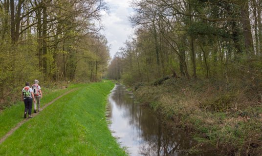 35: 160414-150434_TP3