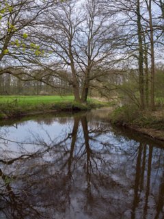 36: 160414-151607_TP3<br>Dinkel