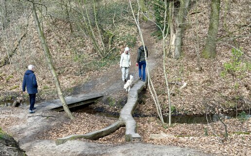 9: IMG_0298<br>Over de Eendenbeek