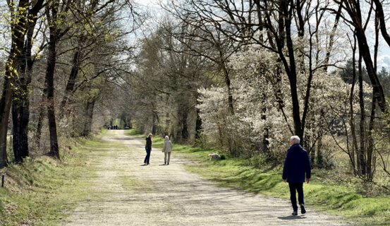 15: IMG_0306<br>Op de Klootschietersbaan