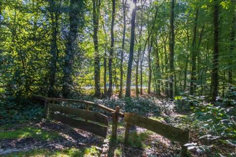 10: 240929-105628_Hazelbekke