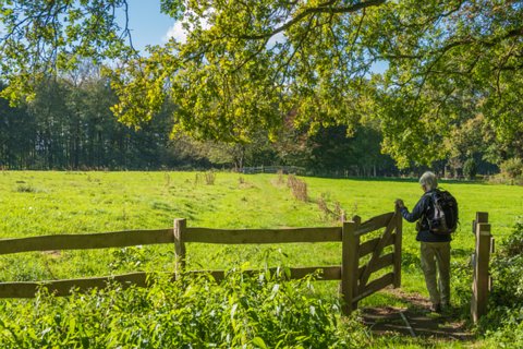 19: 240929-115937_Hazelbekke