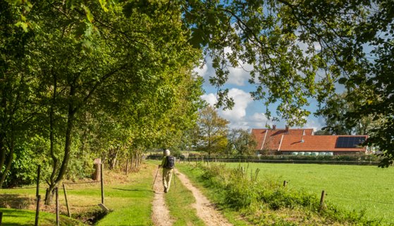 24: 240929-132400_Hazelbekke