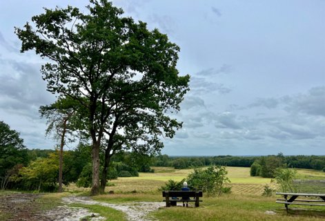 30: IMG_3551<br>Galgenberg in 2024