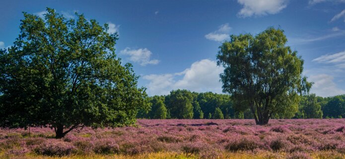 1: 250818-104400_Paardeslenk