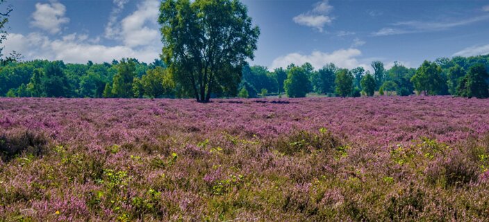 5: 250818-105139_Paardeslenk