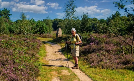 8: 250818-110523_Paardeslenk