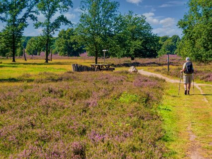 13: 250818-120320_Paardeslenk