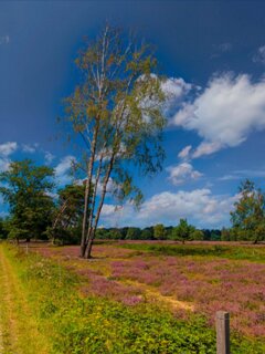 17: 250818-124105_Paardeslenk