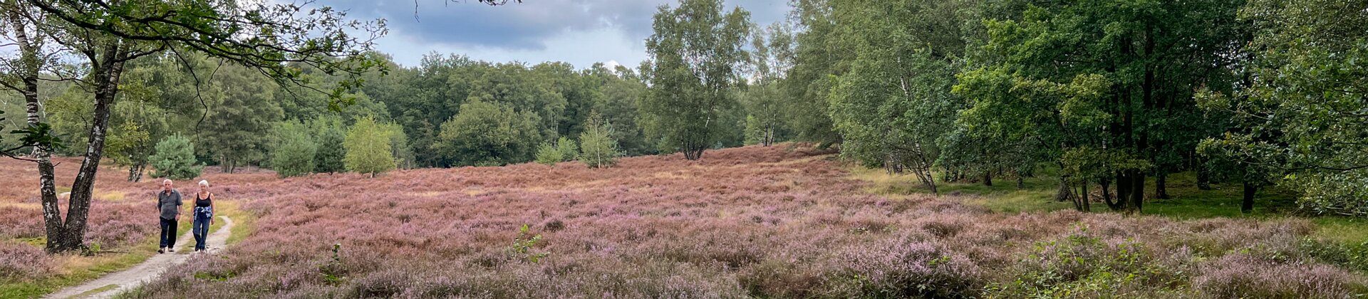 Klik om de knoppen te tonen of te verbergen