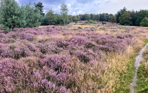 16: IMG_3634-3-images