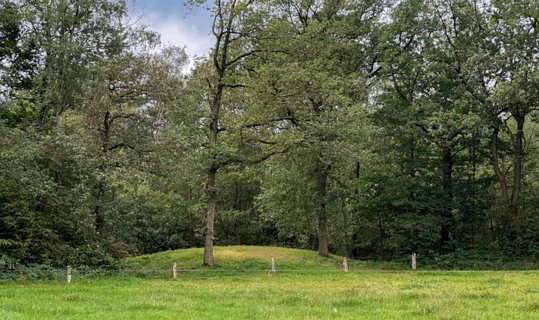 21: IMG_3646<br>Een grafheuvel