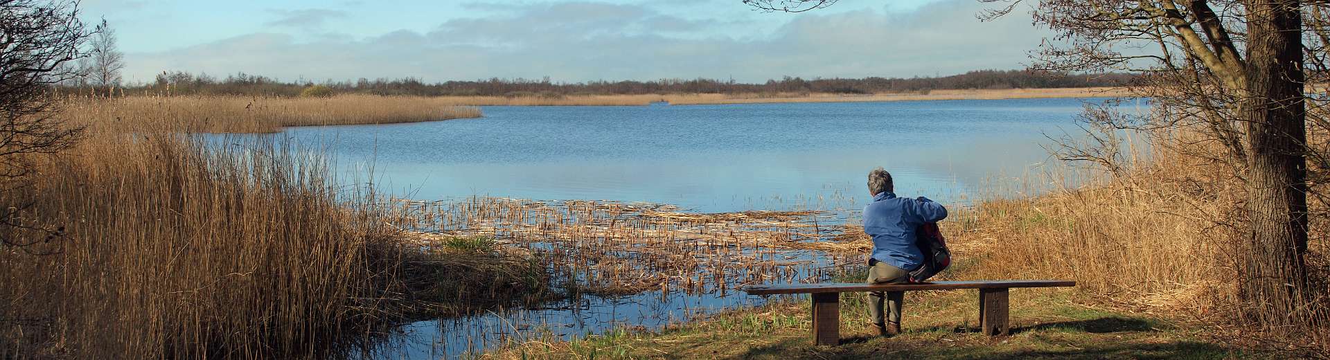 Klik om de knoppen te tonen of te verbergen