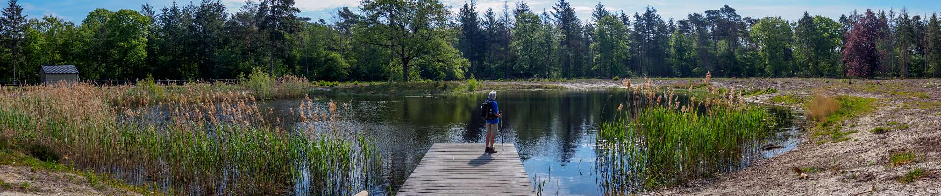 Klik om de knoppen te tonen of te verbergen