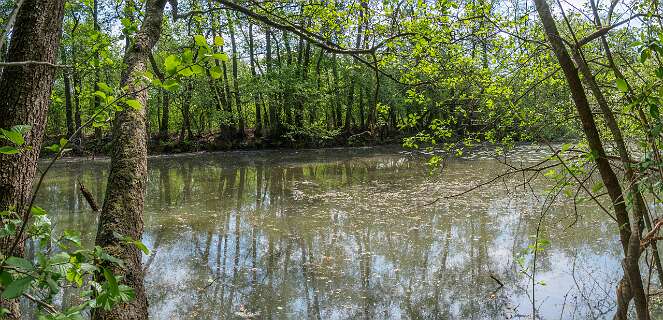 Beerze Bulten<br>Dode arm van de Vecht