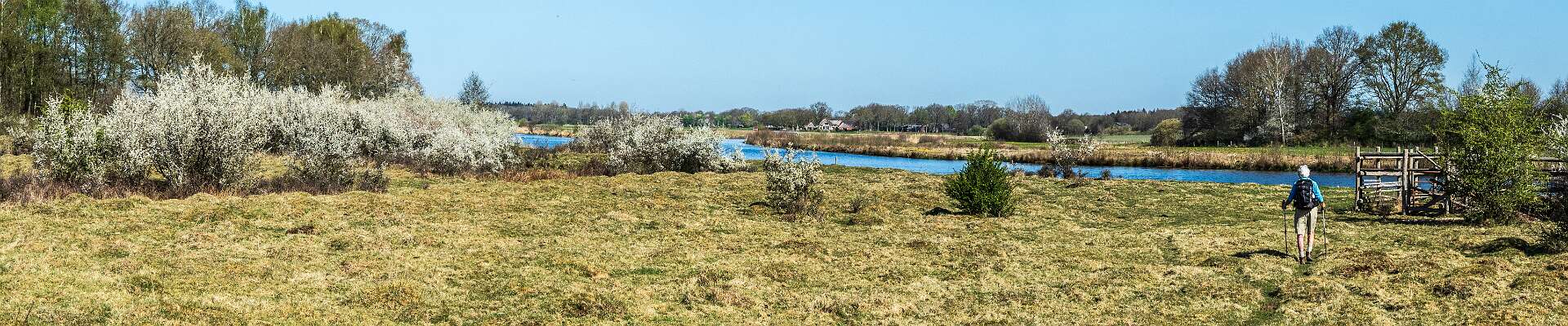Klik om de knoppen te tonen of te verbergen