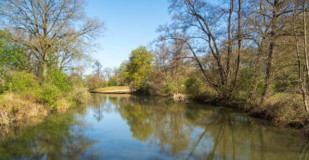 Dit is een dode arm van de Vecht