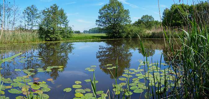 Diffelen, Rheeze<br>De plas achter onze lunch plek