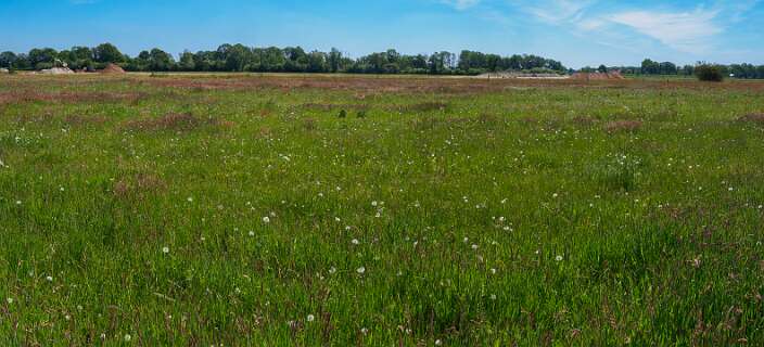 Diffelen, Rheeze<br>De Vecht wordt weer in zijn oude staat teruggebracht