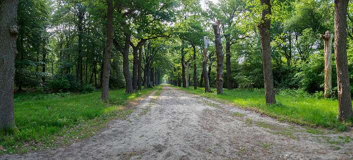 Een van de zichtlijnen rond het kasteel Eerde