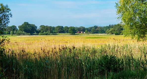Doorkijkje naar de Regge