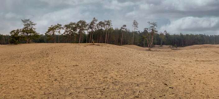 360° panorama van de Sahara zandverstuiving