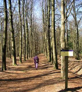 We liepen hier ook in 2003