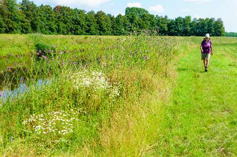 Gramsbergen, Salland, Twente, Vecht